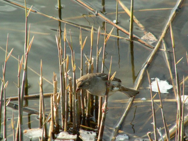 PICT0400.jpg