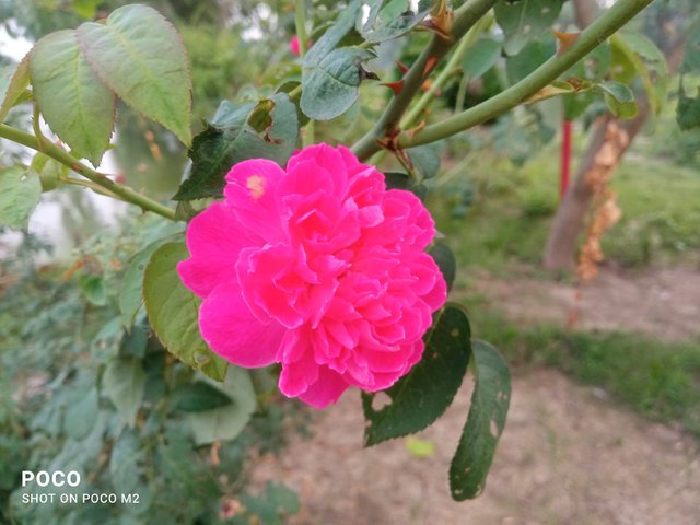 IMG_20250422_175403.jpg