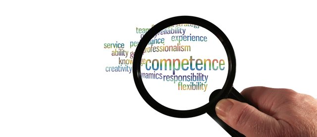 competence-2741773_1280.jpg