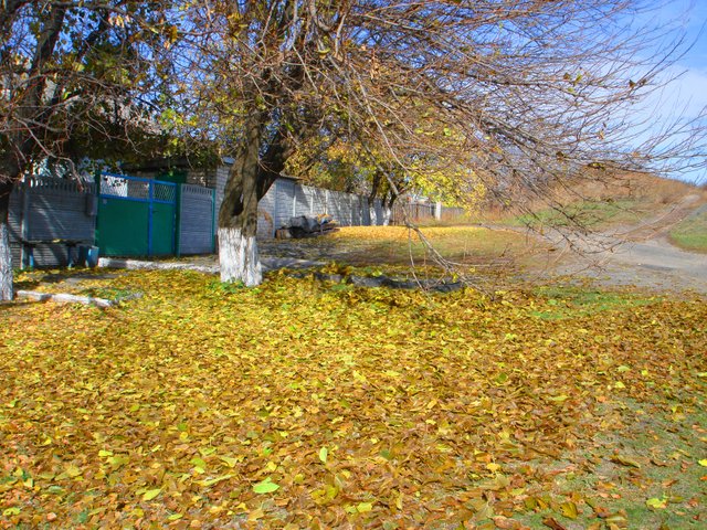 DSC03337.JPG