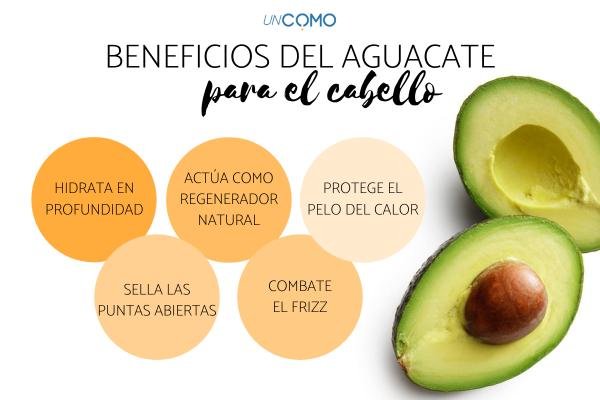 beneficios_del_aguacate_en_el_cabello_1757_0_600.jpg