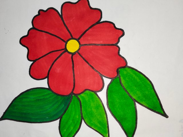 IMG20250629195042.jpg