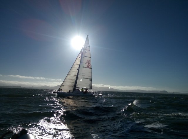 sailing-2455969.jpg
