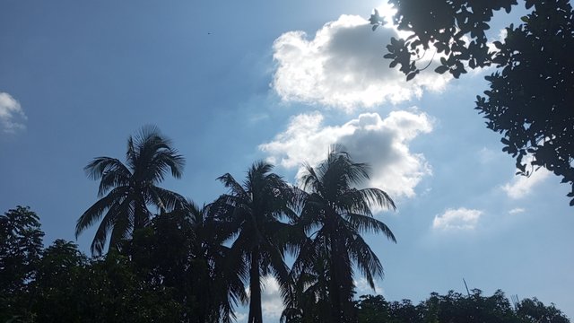 IMG_20240829_150415_0.jpg
