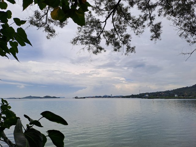 20240915_130658.jpg