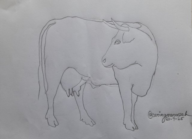 20250720_173631.jpg