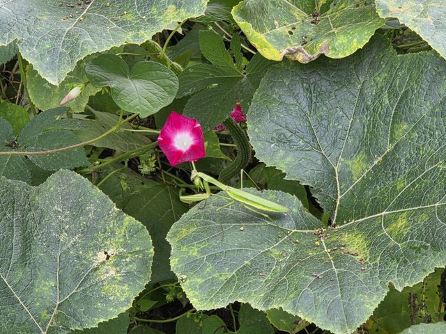 카카오스토리_2025_10_11 22_31_03.jpg