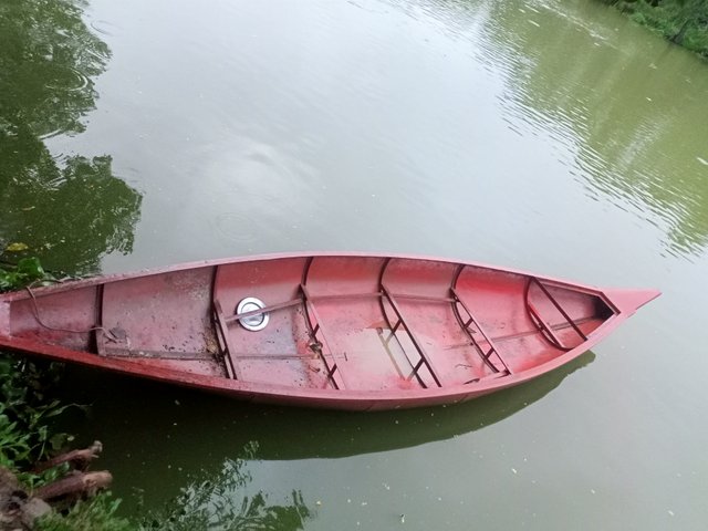 IMG20250915175921.jpg