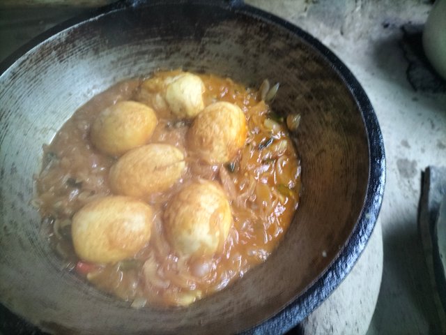 IMG20250618174739.jpg