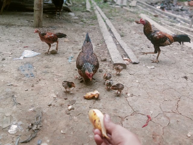 IMG20250603101216.jpg