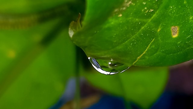 20250607_060948.jpg