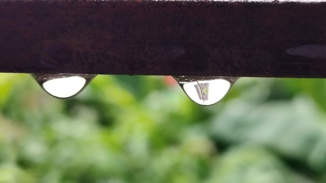 51709.jpg