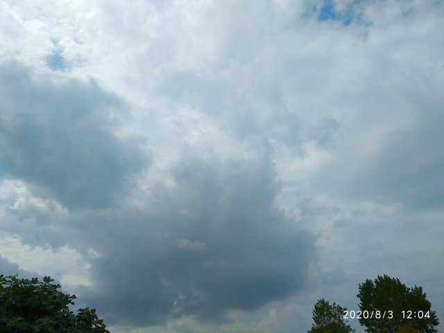 IMG_20200803_120427.jpg