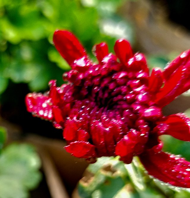IMG20241215091138.jpg