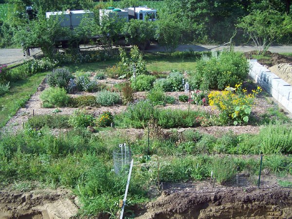 Construction - New Herb garden crop July 2019.jpg