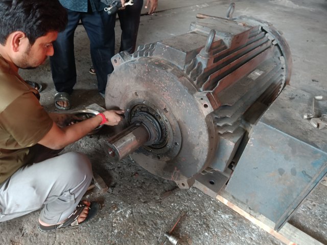 IMG20250619111324.jpg