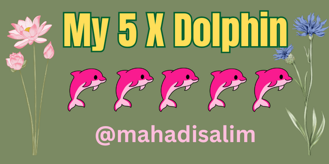 My 5 X Dolphin.png