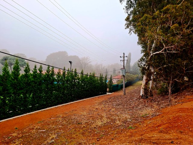 20250704_102605.jpg