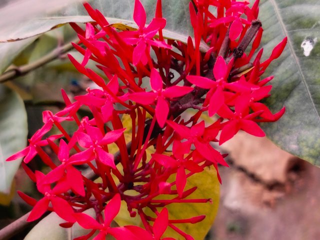 IMG20250221115953.jpg
