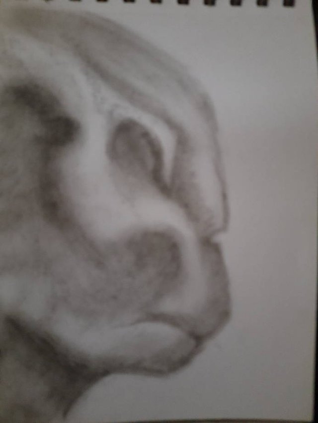 20250927_103326.jpg