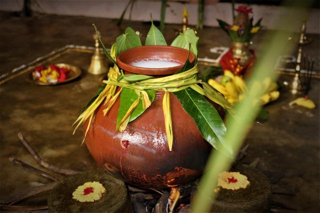 210114 Jaffna students pongal5.jpg