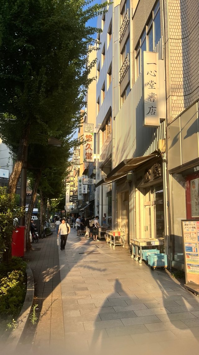 IMG_7141.jpeg
