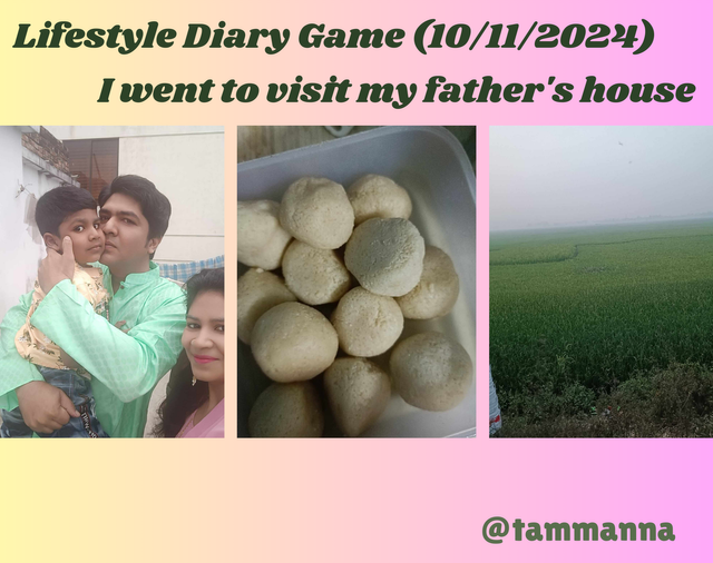 Lifestyle Diary Game (08112024) -.png