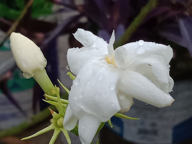 IMG20250418162110.jpg