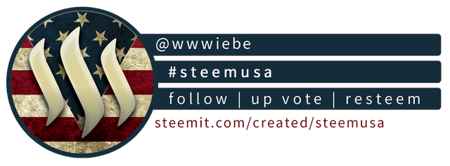 Steem USA Compact Banner