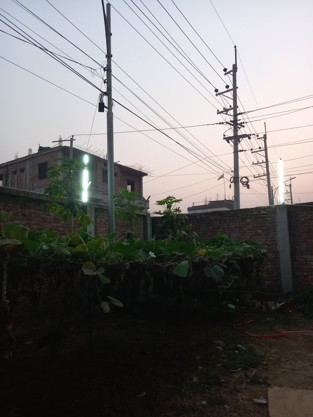 20230226_180753.jpg