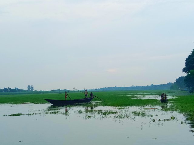 IMG_20250920_073914.jpg