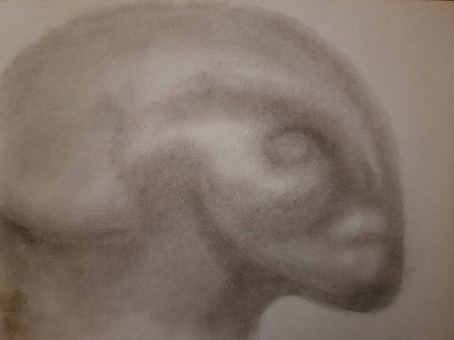 20250522_110154.jpg
