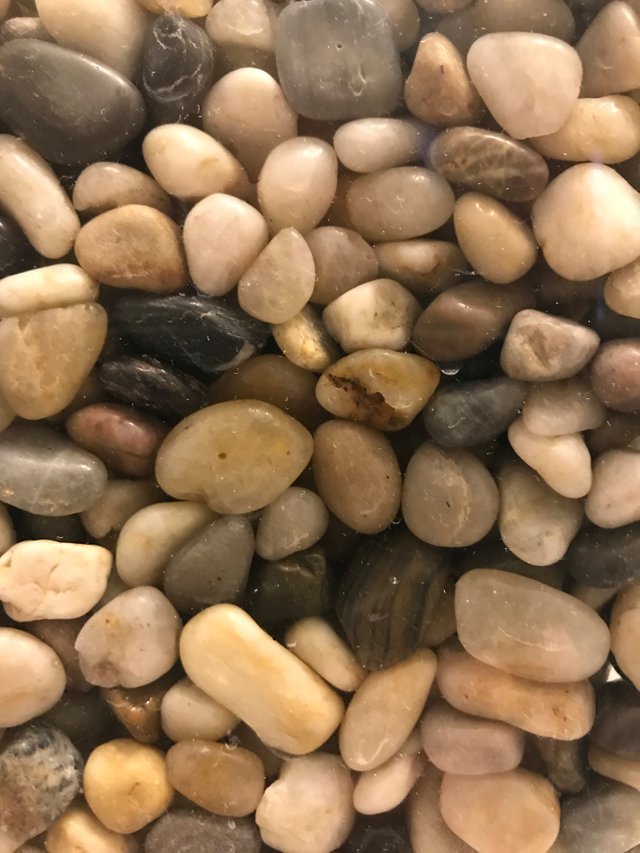 Pebbles.jpg