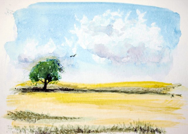 watercolour-2669975_1280.jpg