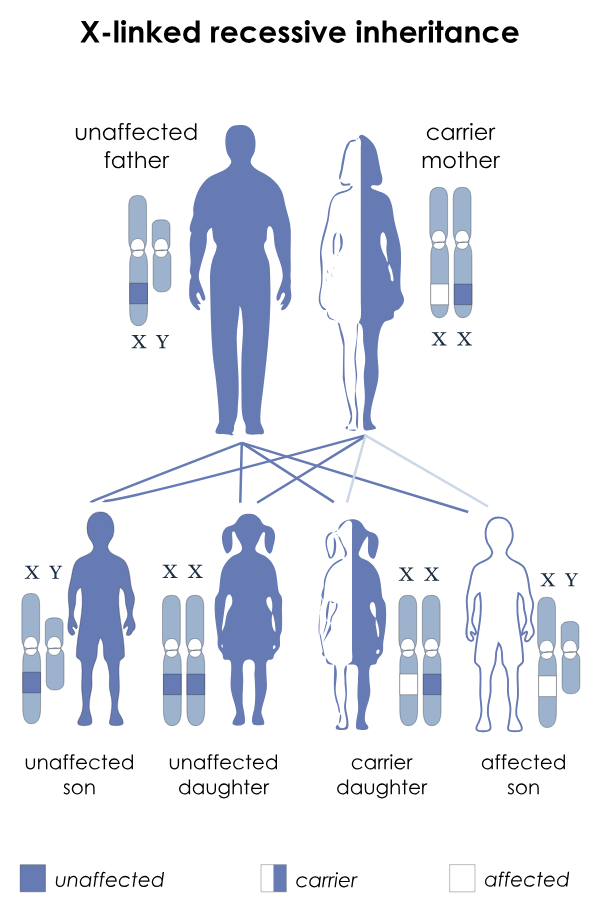 v2-893fdd4f7d00850078bfa4b4775f7562_r.png