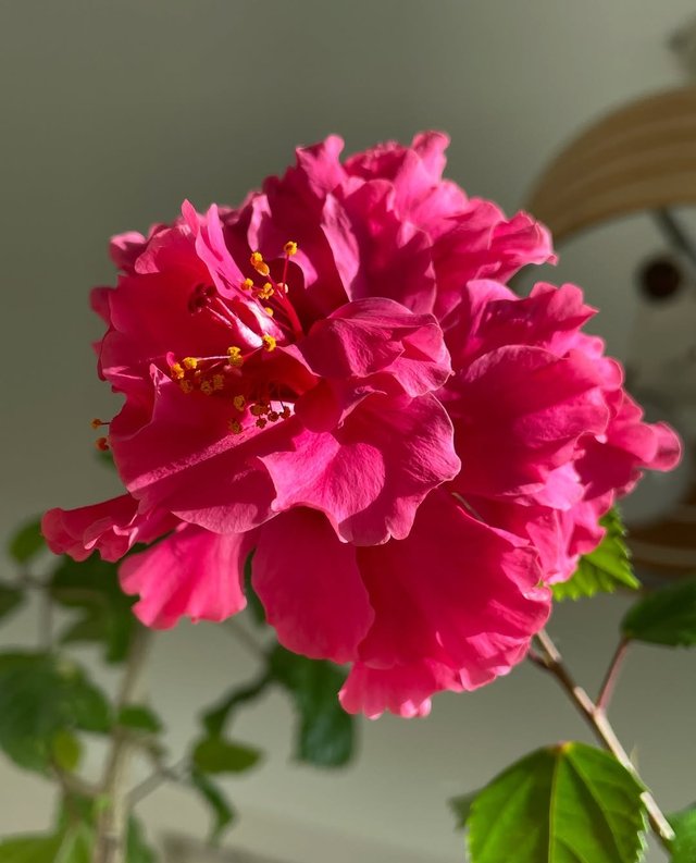 IMG_20250925_114855.jpg