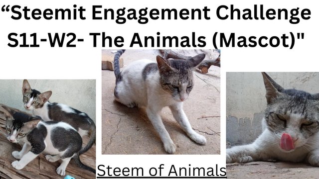 “Steemit Engagement Challenge S11-W2- The Animals (Mascot).jpg