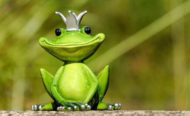 frog-2240764_1280.jpg