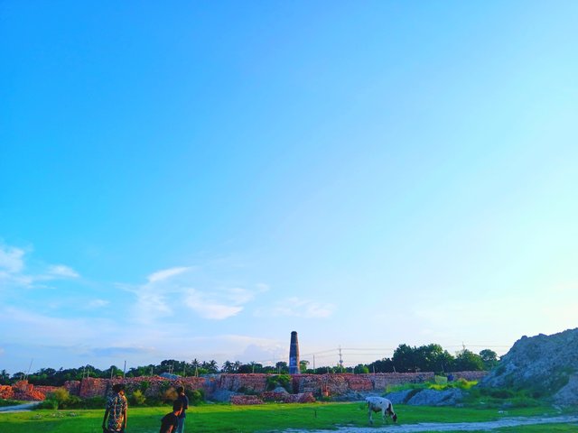 1000582029.jpg