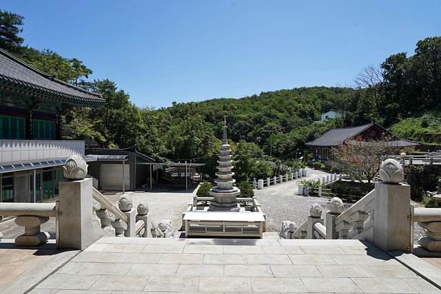 b-DSC09222.JPG
