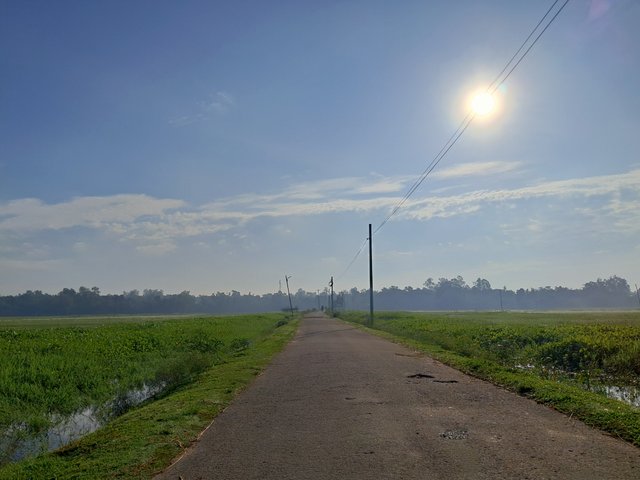 1000042790.jpg