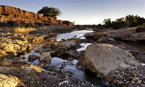 Lake Torrens 1.jpg