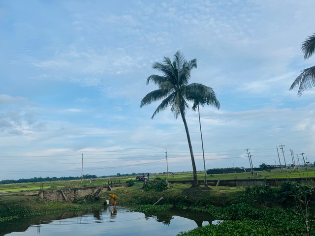 IMG_0215.jpeg