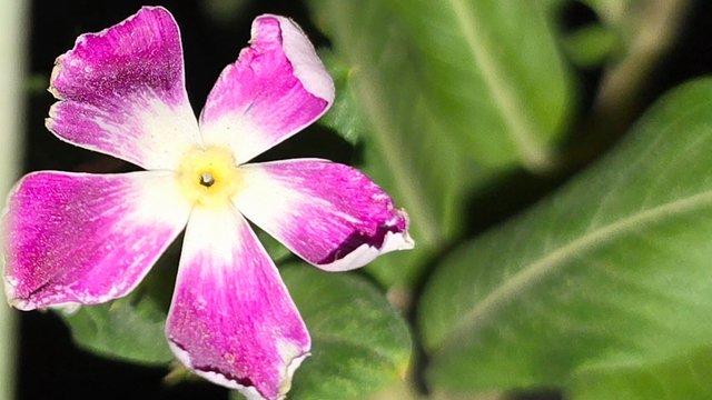 20250706_021741.jpg