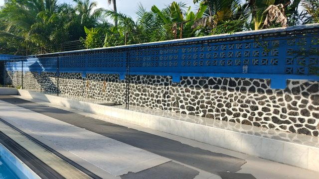 1000074445.jpg