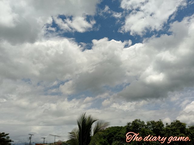 FotoGrid_20250808_152657614.jpg