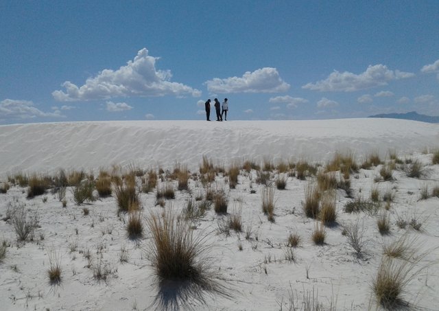 white sands_144129.jpg