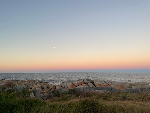 IMG_1106.jpeg