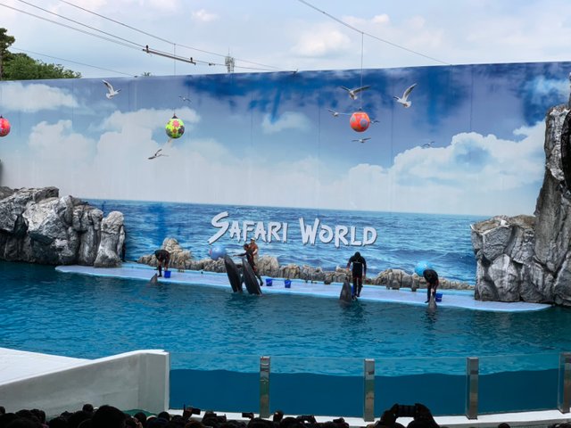 Safari World7.jpg