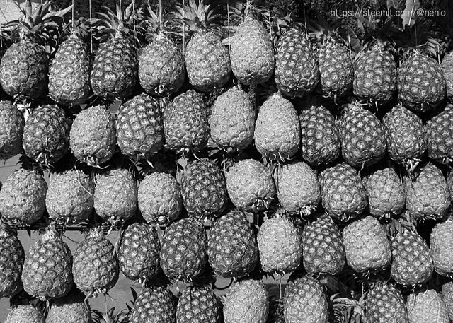 pineapple-02-bw.jpg